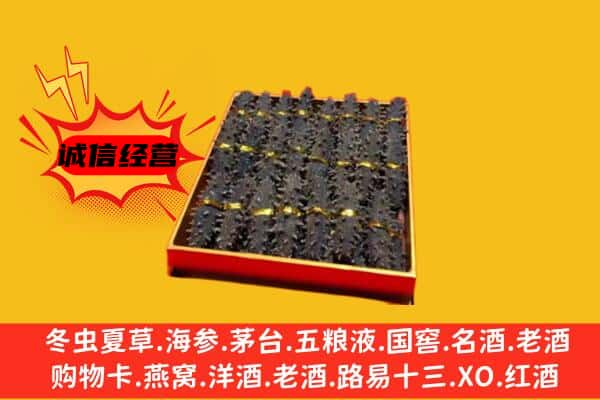 米易县回收海参